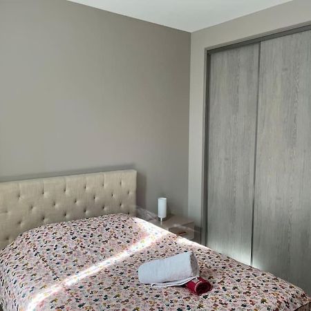 Superbe Appartement Plein Centre Millau Exteriör bild