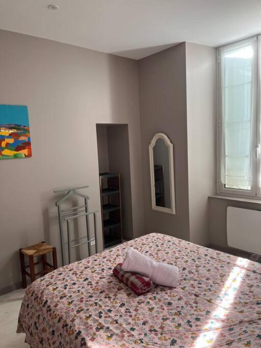 Superbe Appartement Plein Centre Millau Exteriör bild