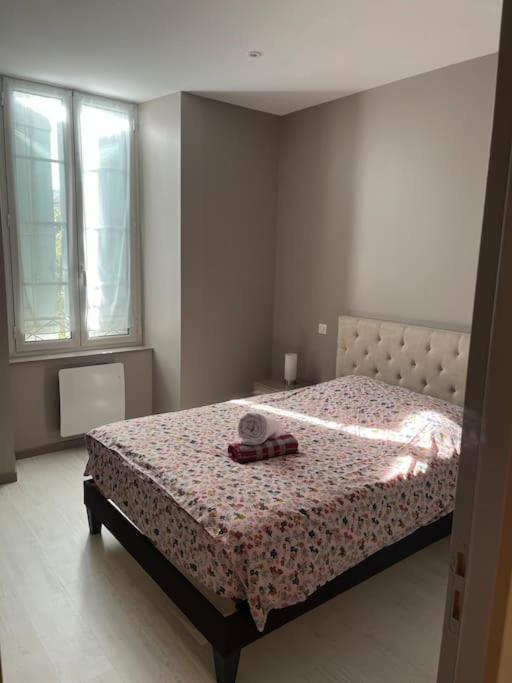 Superbe Appartement Plein Centre Millau Exteriör bild