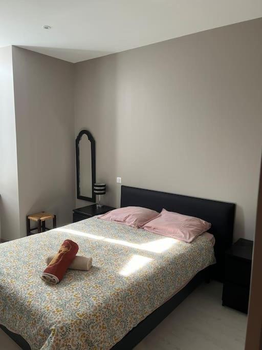 Superbe Appartement Plein Centre Millau Exteriör bild