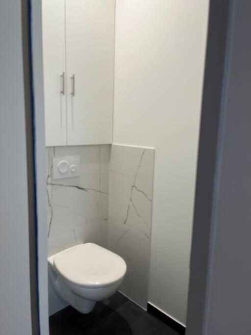 Superbe Appartement Plein Centre Millau Exteriör bild